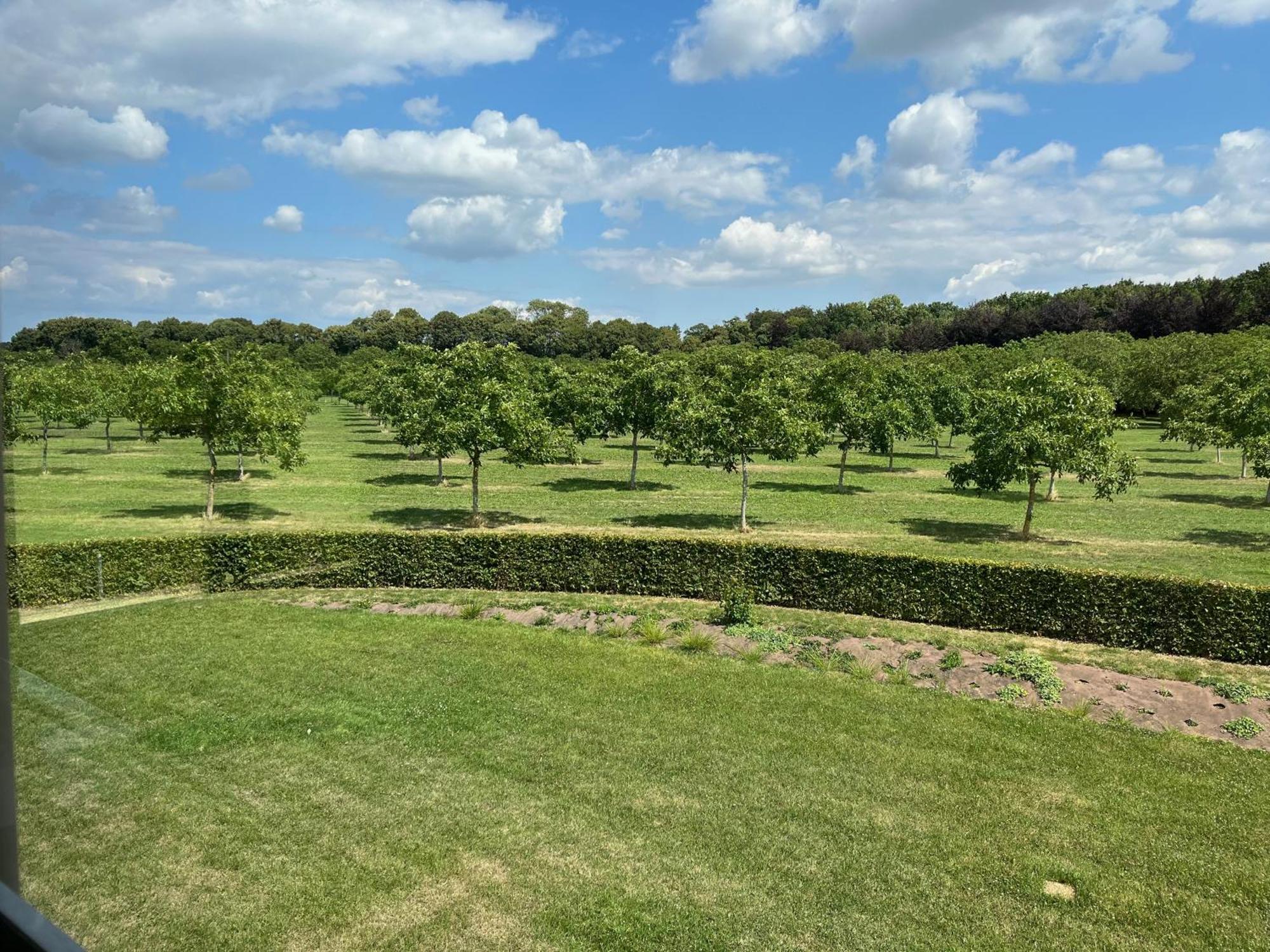 Domaine De La Noiseraie Rhisnes ภายนอก รูปภาพ